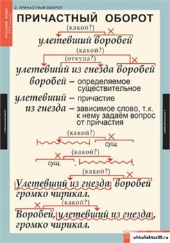 Комплект таблиц. Русский язык 7 класс (7 таблиц) 4-1140-007