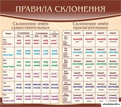 Стенд Правила склонения ШК-1720