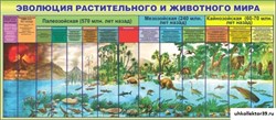 Стенд Эволюция растительного и животного мира ШК-0726