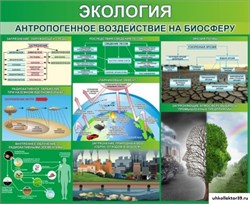 Стенд "Экология. Антропогенное воздействие на биосферу" ШК-0751
