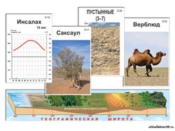 Модель-аппликация "Природные зоны" (ламинированная) 7606
