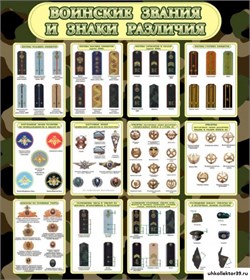 Стенд Воинские звания и знаки различия ШК-1607