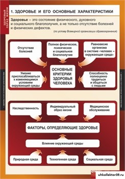 ОБЖ Здоровый образ жизни, комплект таблиц 5-8649-008