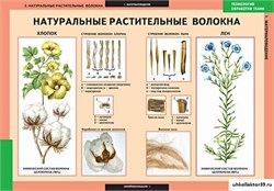 ТЕХНОЛОГИЯ Технология обработки ткани. Материаловедение 5-8609-007