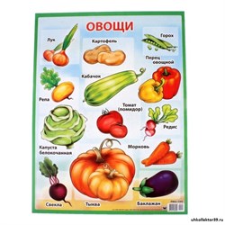 Плакат "Овощи" 279776