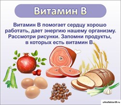 стенд ВИТАМИН В ДС-0519