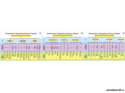 Плакаты ПРОФТЕХ "Ассортимент продовольственных товаров" 10668