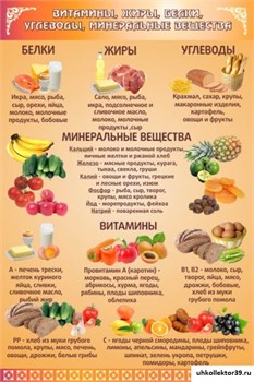 Стенд ВИТАМИНЫ, ЖИРЫ, УГЛЕВОДЫ ШК-3014