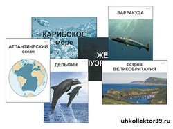 Модель-аппликация "Океаны. Знакомство" (ламинированная) 16237