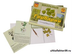 Гербарий "Сельскохозяйственные растения" (30 видов, с иллюстрациями) 8557