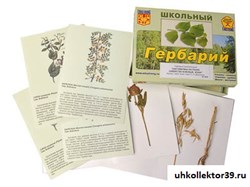 Гербарий "Систематика растений. Семейство Бобовые. Злаки" (раздаточный) 8665