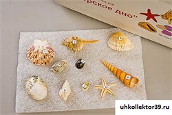 Коллекция "Морское дно" 6247