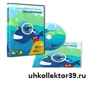 Дополнительные занятия "Играй и развивайся: Экологика" ИД-11