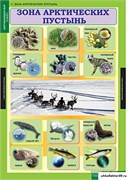 Комплект таблиц - Окружающий мир 4 класс 5-8628-014