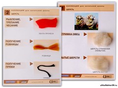 Коллекция "Шерсть" (нач. шк.) 7715