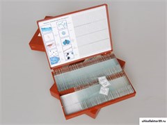 Комплект микропрепаратов "Ботаника 1" 5790