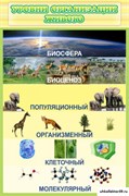 Стенд Уровни организации живого ШК-0720
