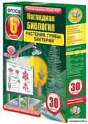 Интерактивное учебное пособие "Наглядная биология. 6 класс. Растения. Грибы. Бактерии" 4640008172116