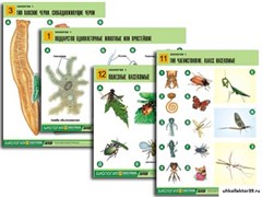 Комплект таблиц по биологии дем. "Зоология 1" (14 табл., формат А1, лам.) 6622
