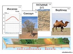 Модель-аппликация "Природные зоны" (ламинированная) 7606