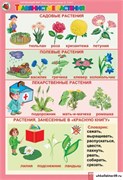 Комплект таблиц Окружающий мир 5-6 лет. "Животные и растения". 7-013-012