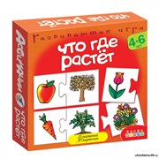 Игра Что где растет (серия Ассоциации) 2929