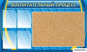 стенд Воспитательный процесс, частично пробковый ДС-0119