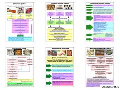 Плакаты ПРОФТЕХ "Технологические схемы приготовления рыбы" 11086