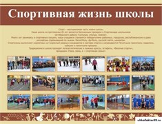 Стенд СПОРТИВНАЯ ЖИЗНЬ ШКОЛЫ ШК-2606