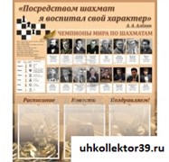 Шахматы, тематический стенд ШК-02118