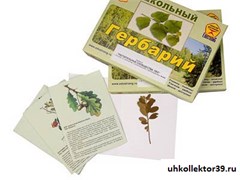 Гербарий "Растительные сообщества. Лес" (9 видов, 10 планшетов, с иллюстрациями и фотографиями) 8556