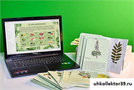 Гербарий натурально-интерактивный "Культурные растения" 13653