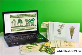Гербарий натурально-интерактивный "Растительные сообщества. Лес" 13656