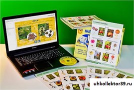 Коллекция натурально-интерактивная "Семена и плоды" 13691