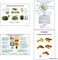 Плакаты ПРОФТЕХ "Продовольственные товары и пряности" 11095